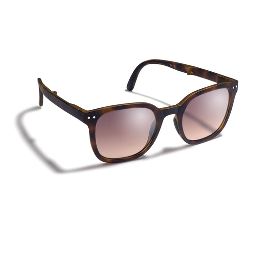 Gidgee - CANTER Sunglasses