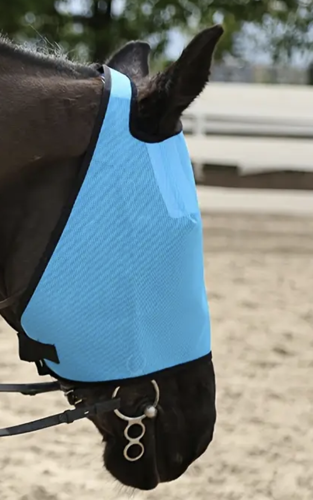 Coloured Mesh Fly Mask