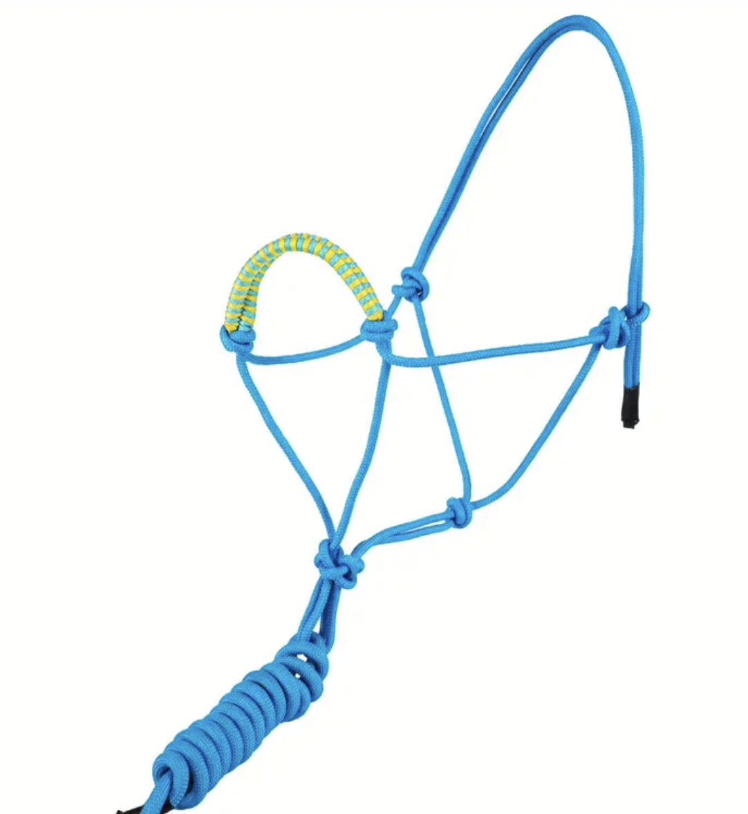 Rope Halter and Lead