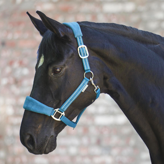 Waldhausen Halter Alcantara