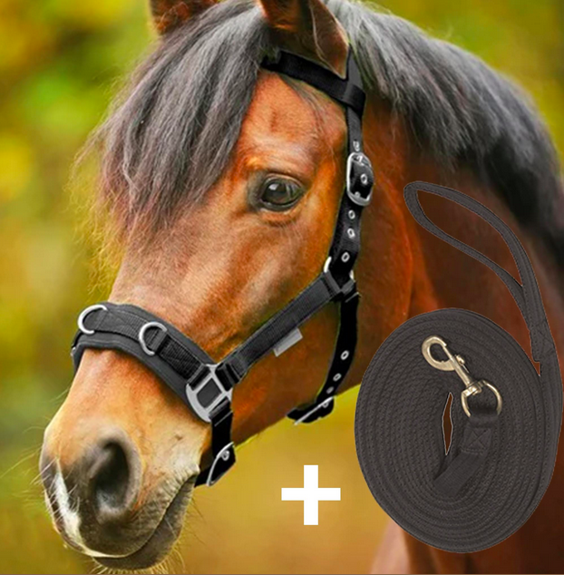 Waldhausen Lunging Cavesson