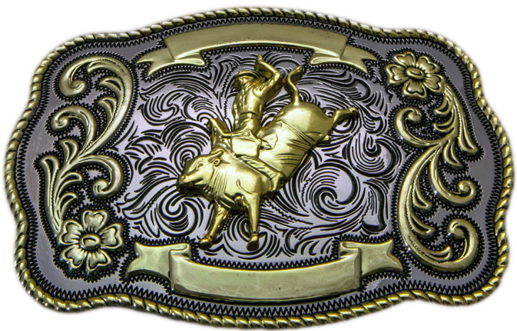 Assorted Trophy Buckles