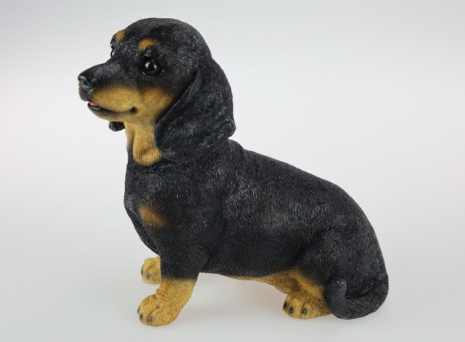 Sitting Sausage Dog