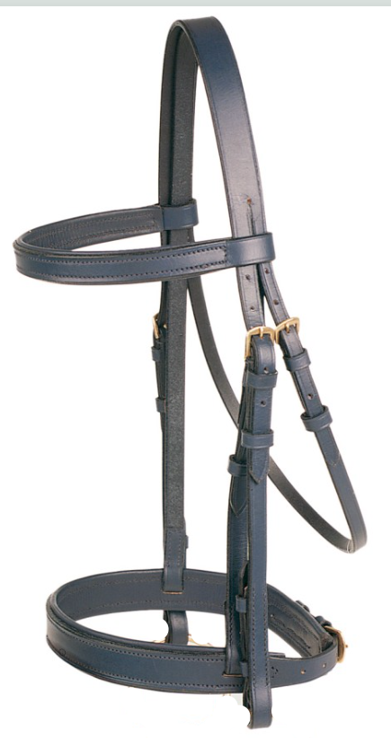 Jeremy & Lord Dressage Bridle