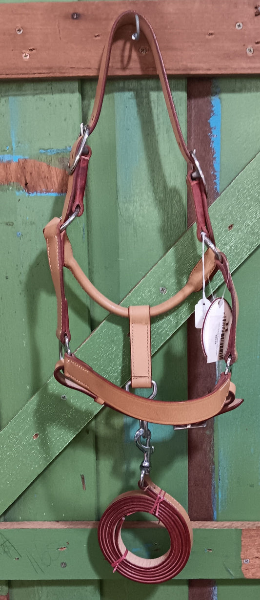 THS Show Halter With Lead