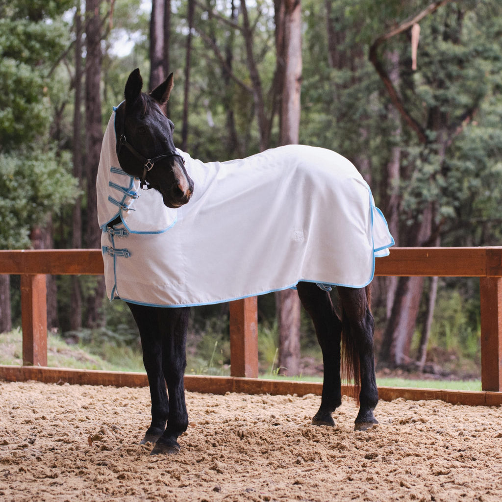 Eureka Flag Combo Rug