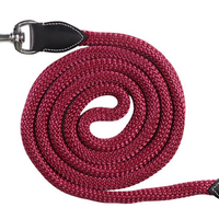 Jeremy & Lord Rope & Leather Lead