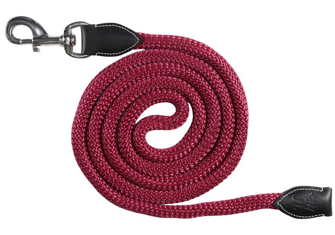 Jeremy & Lord Rope & Leather Lead