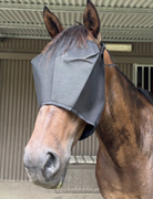 Everyday Fly Mask