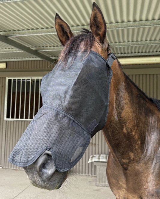 Everyday Fly Mask with Nose
