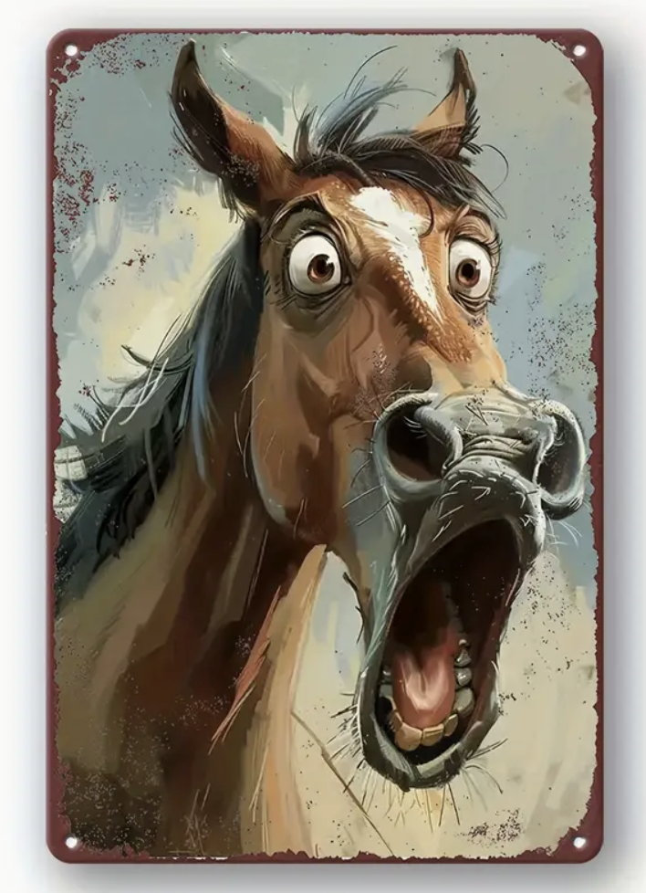 Tin Sign - NO WAY !