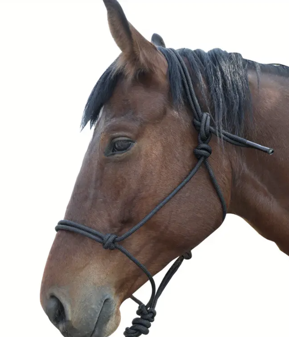 Rope Halter