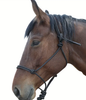 Rope Halter