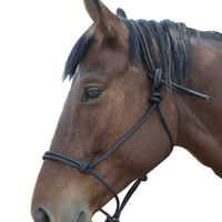 Rope Halter