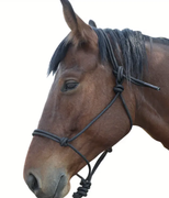Rope Halter