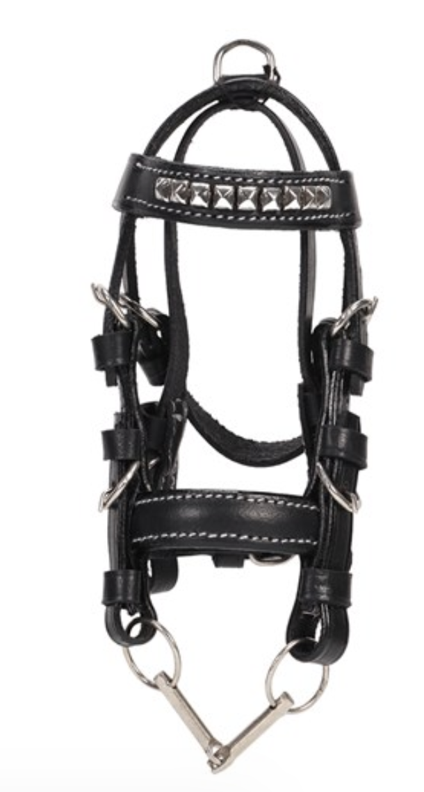 Miniature Bridle