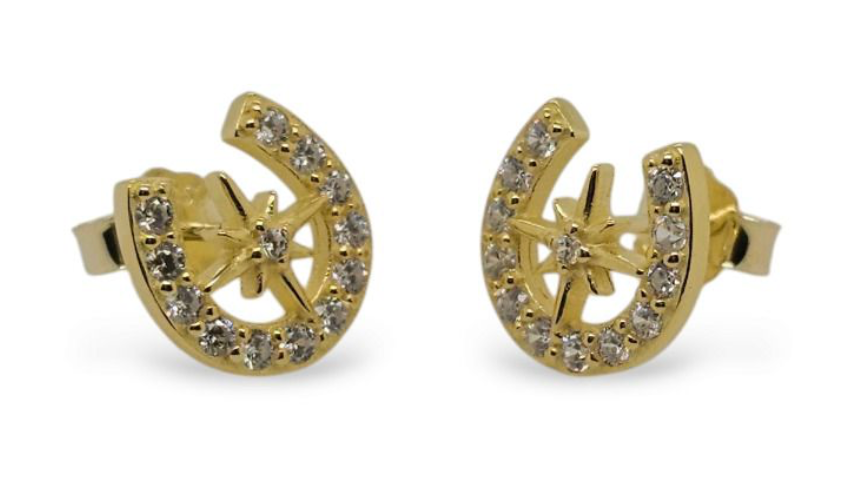 MCJ Horseshoe and Northern Star Studs