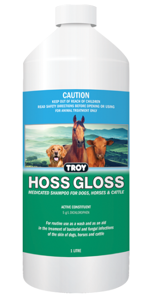 Troy Hoss Gloss