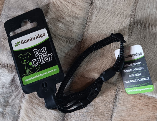 Nylon Dog Collar