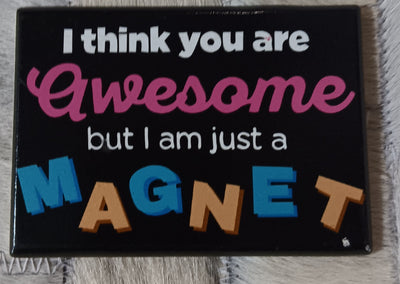 MAGNET- You are Awsome