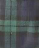 Mens Bisley Cotton Flannelette Shirt - Bottle