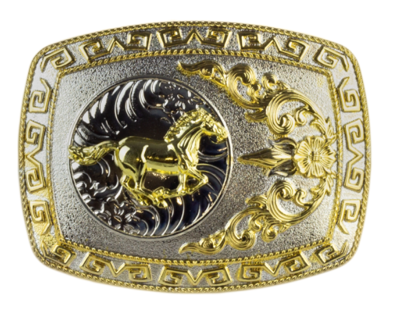 Assorted Trophy Buckles