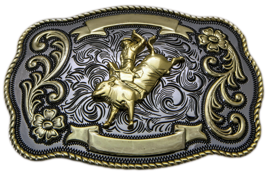 Assorted Trophy Buckles