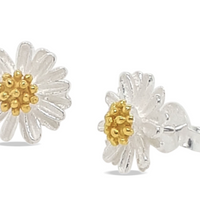 Mountain Creek Chamomile Sterling Silver and Gold Studs