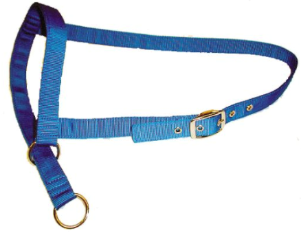 Calf Halter with Lead