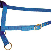 Calf Halter with Lead