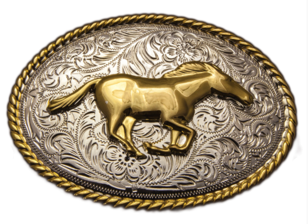 Assorted Trophy Buckles
