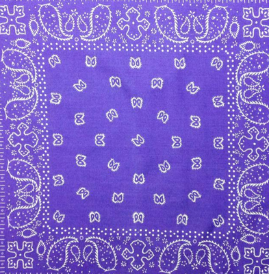 Purple Paisley Bandana - S521