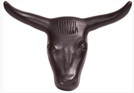 Roping Steer Head