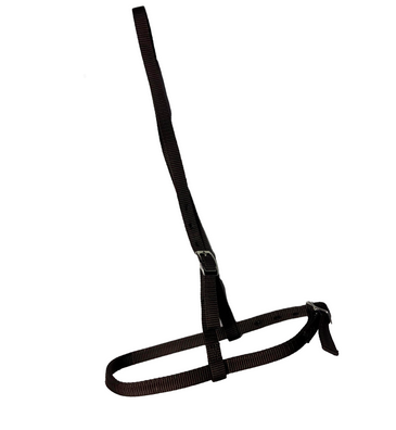 Ezy Ride adjustable Cavesson