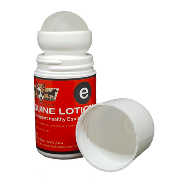 Red Healer Equine Roll-On