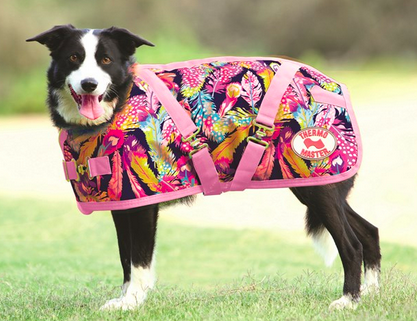 Thermo Master Supreme Dog Coats