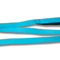 Dog Lead Webbing with Padded Handle