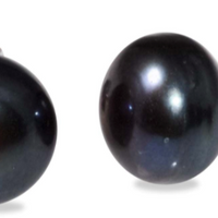 MCJ Pearl Stud Earrings - Blue