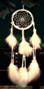Dream Catcher - DC012
