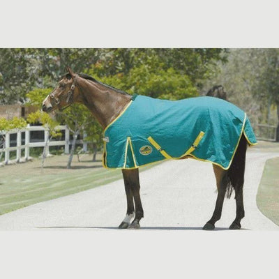 Horsemaster Rip Stop 20 Ounce Canvas Rug Only