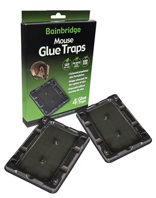 Rat Glue Trap - 4 Pack