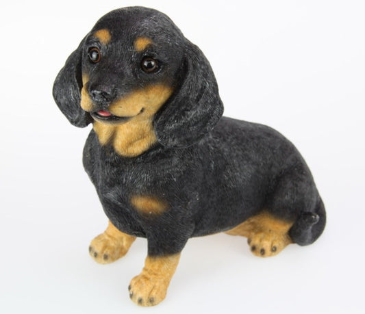 Sitting Sausage Dog