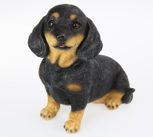 Sitting Sausage Dog