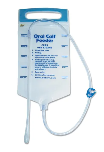 Oral Calf Feeder