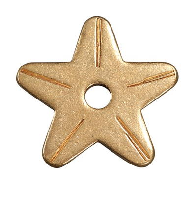 Spur Rowel Brass - 5 star point